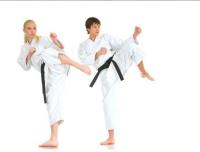 Swift Current Karate Club image 1
